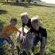 Interaction with farm animals
