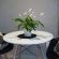 Cat's Eye Jewel Dining Area
