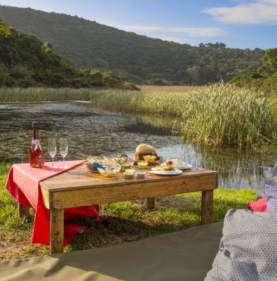 Picnic at the dam