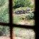 view from Enjo Chalet kitchen window