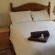 No sea view Room 6 - ground level