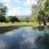 Poolside View