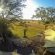 Rhino Walking Safaris