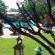 Bird Feeder