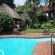 Pool Area and Garden