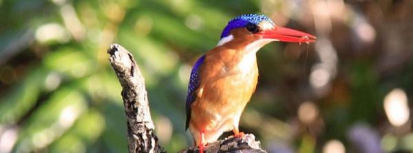 Sodwana Bay Nature Reserve