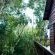 Tree Frog Forest Cabin