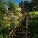 Big Tree House