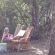 Relaxing with the Animals