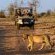 Muchenje Safari Lodge
