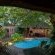 Pool and braai area
