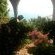 View from the Garden