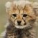 Hopewell Private Game Reserve