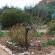Duiwekloof Lodge