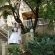 Great pics on your special day
