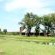 De Kleine Serengeti Game Lodge