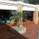 Wooden deck