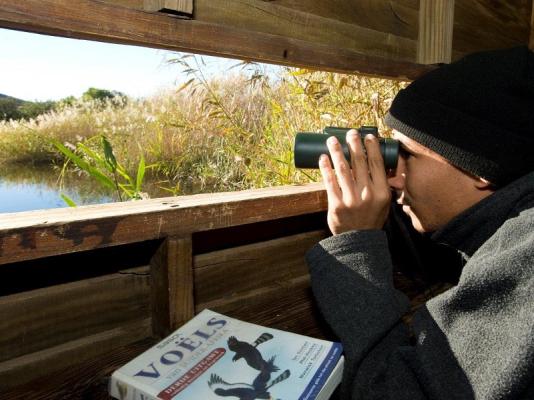 Karoo National Park Wildlife