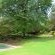 Front garden and swimming pool
