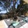 The Bungalow