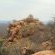 Mountain Views
