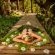 Summerfields Rose Retreat and Spa