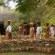 Motswari Private Game Reserve