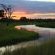 Motswari Private Game Reserve