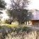 Motswari Private Game Reserve