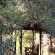 Motswari Private Game Reserve