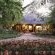 Motswari Private Game Reserve