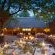 Motswari Private Game Reserve