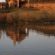Ardmore Guest Farm