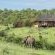 Royal Madikwe
