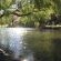 Trout waters