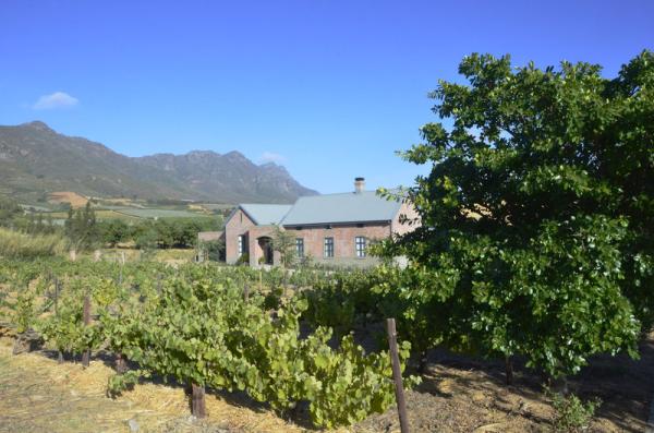 Vineyard Views Country House