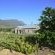 Vineyard Views Country House