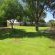Back garden