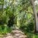 Enter the estate....exhale & relax!