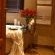 Bathroom at 5* The Village at Fairview