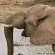 Mapungubwe National Park