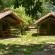 Eco Tents