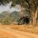 Game Drive