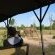 Elephant on Game Drive