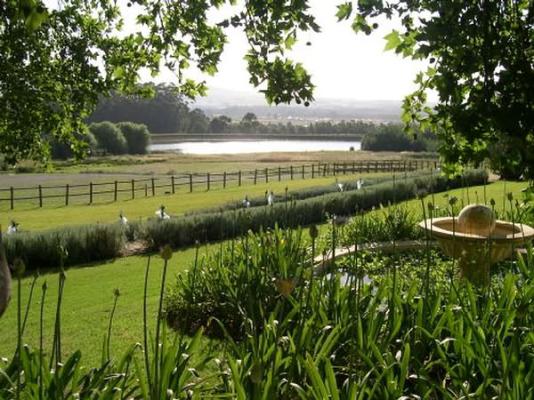 Western Cape City Guide