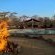 Pool braai