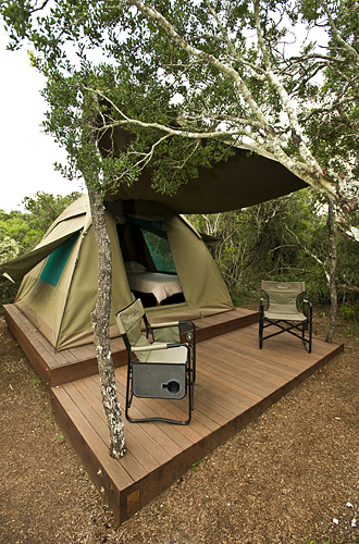 Addo Elephant Park Spekboom Tented Camp, Addo