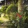 Garden Garden