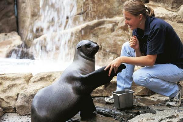 Two Oceans Aquarium