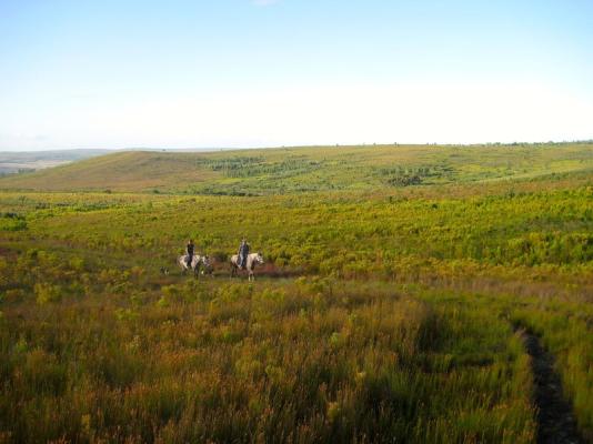 Riding in the fynbos mountains